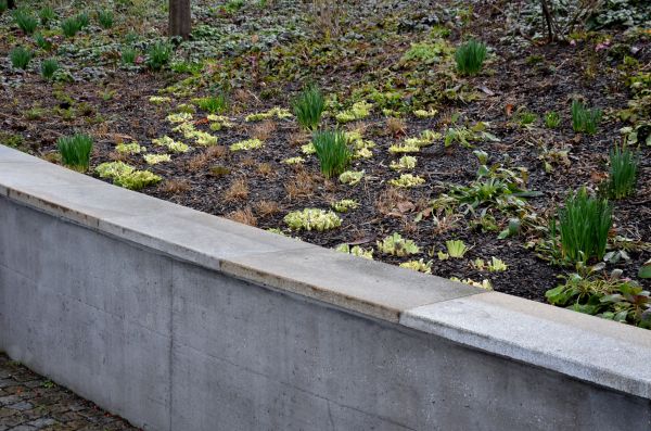 Cost of Concrete Wall Construction in Palm City