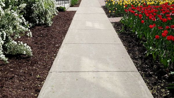 Cost of Cement Sidewalk Installation in Palm City